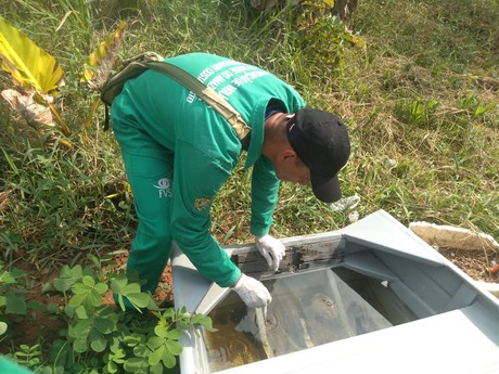 Saúde lança novo informe semanal com cenário da dengue no Amazonas, nesta quinta-feira