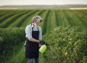 Deputados aprovaram alterações nas regras de registro de agrotóxicos