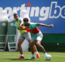 Palmeiras se reapresenta no CT e inicia preparação para jogo contra o Bahia