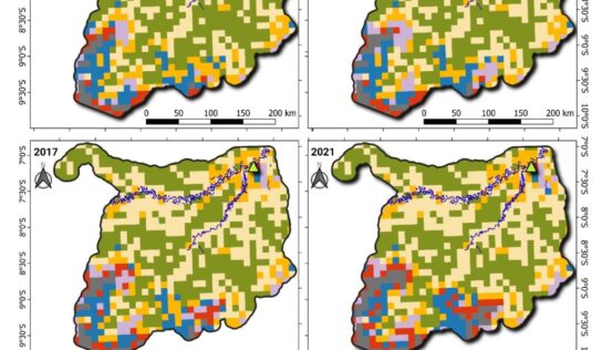 Desmatamento e um futuro perigoso em Lábrea – 5: resultados sobre padrões de desmatamento