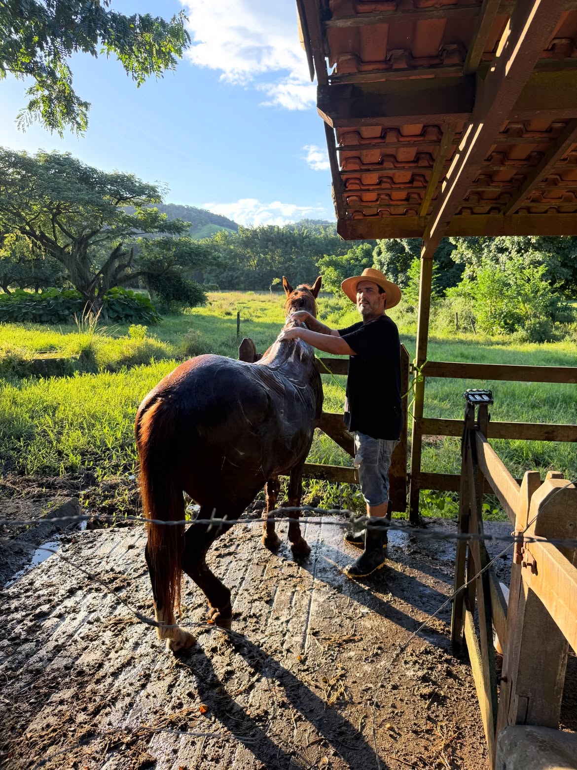 André Marques reforma a fazenda da família - Foto: Reprodução / Instagram