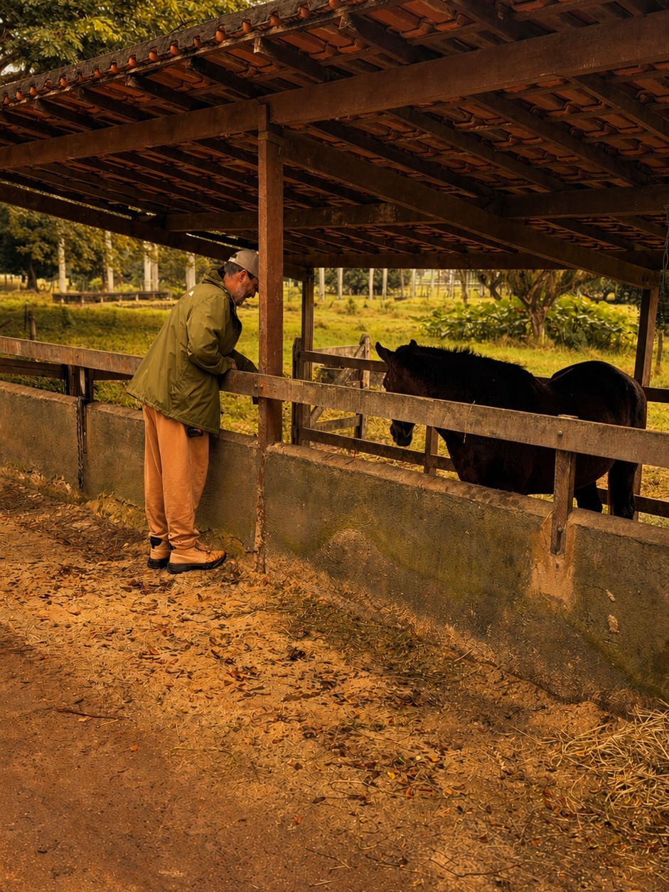 André Marques reforma a fazenda da família - Foto: Reprodução / Instagram