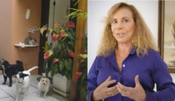 Aos 88 anos, atriz vive em casa com homenagens à família e raízes usada como refúgio no RJ