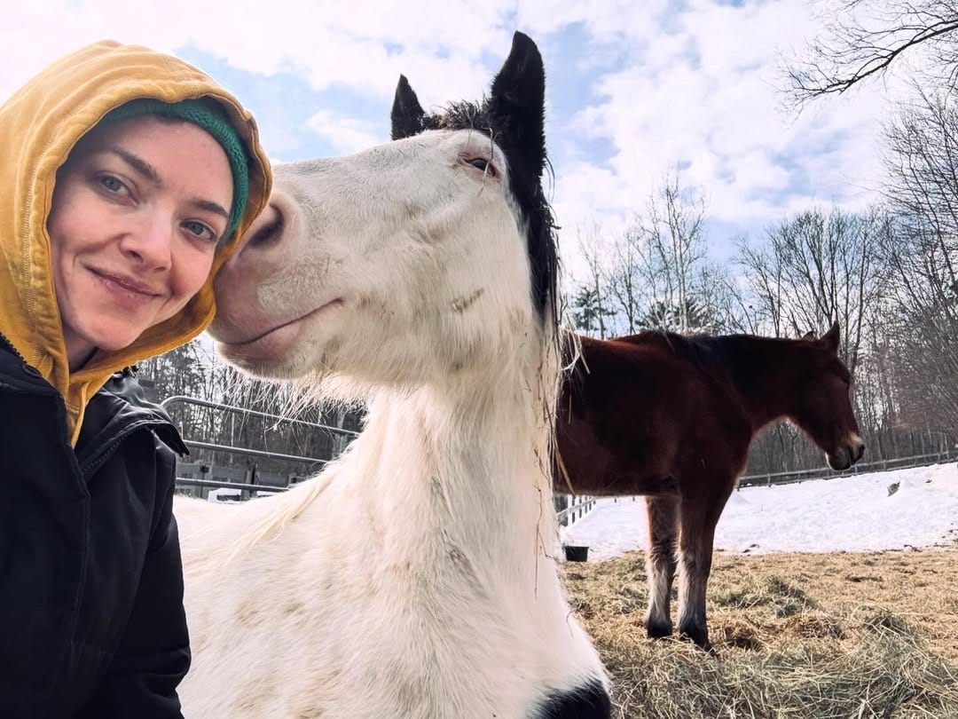 Fazenda da atriz Amanda Seyfried - Foto: Reprodução / Instagram