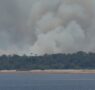 Forte incêndio atinge área de vegetação no distrito de Cacau Pirera