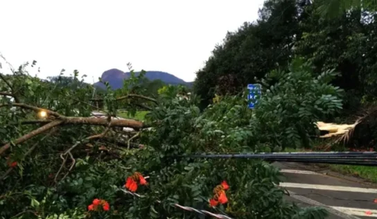 Alerta de tempestades e ventos intensos no Sul