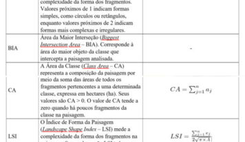 Desmatamento e um futuro perigoso em Lábrea – 4: classificação dos padrões e trajetórias do desmatamento