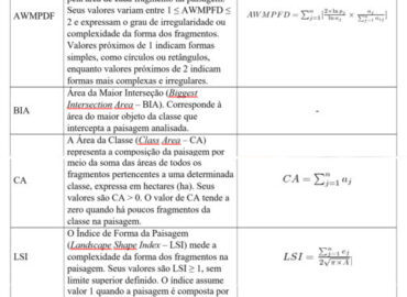 Desmatamento e um futuro perigoso em Lábrea – 4: classificação dos padrões e trajetórias do desmatamento