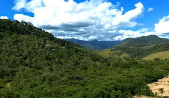 Agricultura expande 11 milhões de hectares na Mata Atlântica