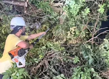 Equipes removem árvores caídas após temporal e reforçam cuidados durante mudanças climáticas
