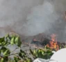 Fumaça e baixa umidade exigem cuidados redobrados com a saúde em Porto Velho
