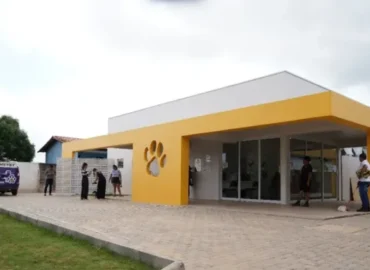 Clínica de Bem-Estar Animal completa um ano com mais de 21 mil serviços realizados em Porto Velho