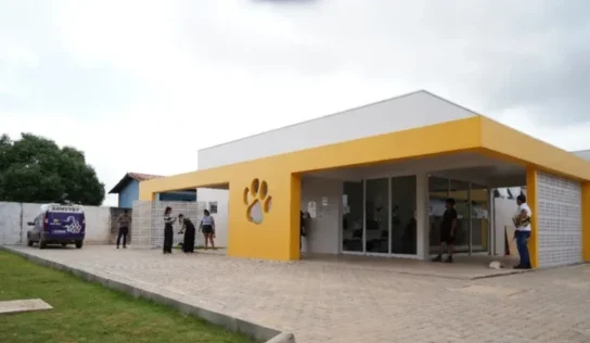 Clínica de Bem-Estar Animal completa um ano com mais de 21 mil serviços realizados em Porto Velho