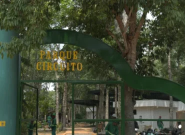Parque Circuito reabre neste sábado (24) com muitas novidades