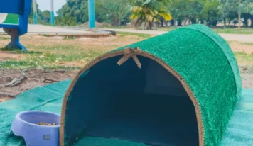 Prefeitura instala abrigos para gatos em espaços públicos