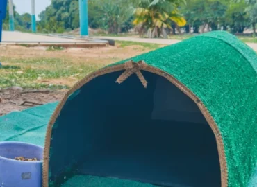 Prefeitura instala abrigos para gatos em espaços públicos