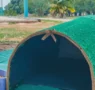 Prefeitura instala abrigos para gatos em espaços públicos