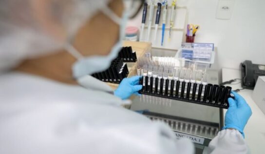 Malária: Anvisa autoriza teste em humanos de vacina 100% brasileira
