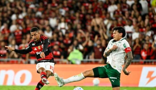 Flamengo e Palmeiras favoritos na Libertadores