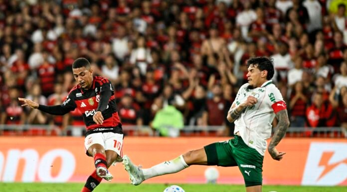 Flamengo e Palmeiras favoritos na Libertadores