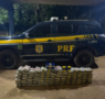 PRF apreende mais de 100 kg de drogas escondidos em picape na BR-364 em RO