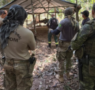Polícia Federal deflagra operação contra extração ilegal de madeira em terra indígena em Rondônia