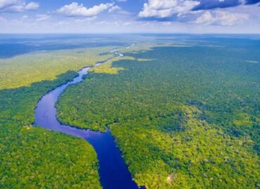 Edital seleciona negócios sustentáveis para programa de aceleração na Amazônia; inscrições são gratuitas