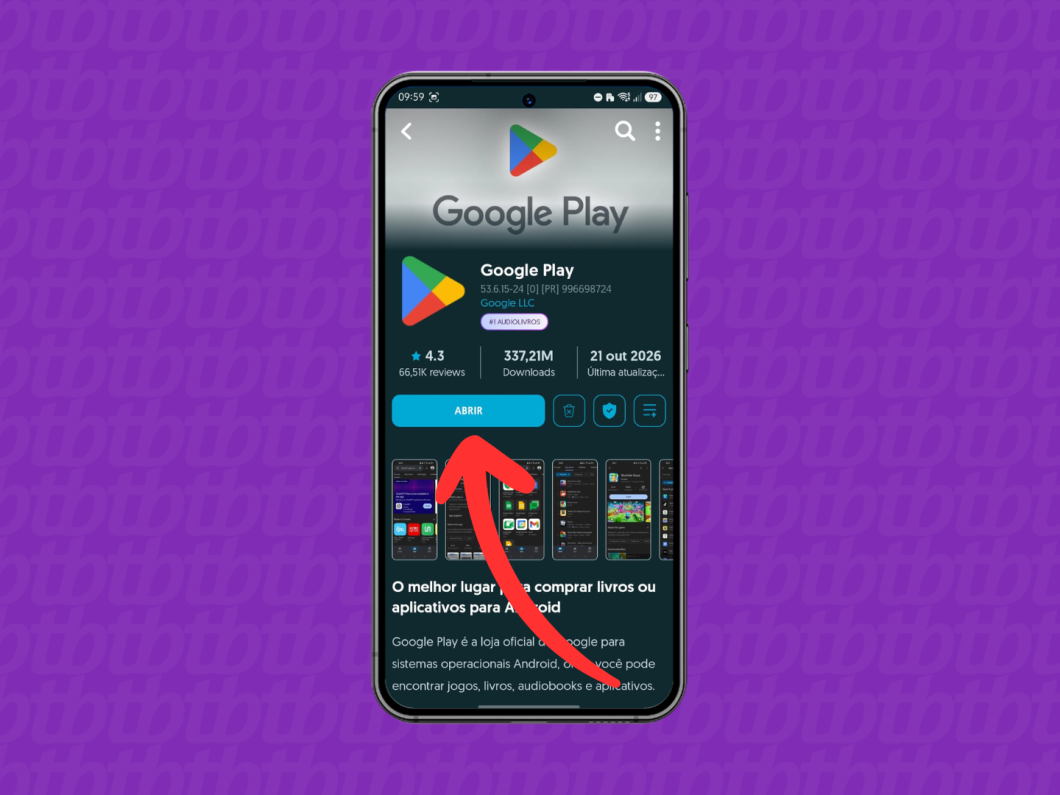 Solicitando o download do APK da Play Store (imagem: Lupa Charleaux/Tecnoblog)