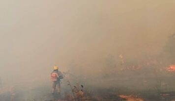 Ministério Público de Contas pede investigação sobre atuação do governo no combate a queimadas no Amazonas