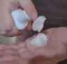 Grupo do AP desenvolve cosméticos de ativos da Amazônia com tecnologia coreana