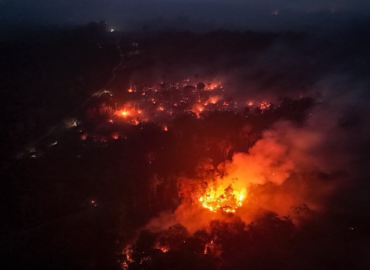 ‘É muito difícil ver sua plantação devorada pelo fogo’: incêndios destroem imóveis e causam desmaios na Zona Rural do AM