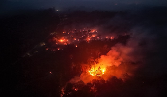 ‘É muito difícil ver sua plantação devorada pelo fogo’: incêndios destroem imóveis e causam desmaios na Zona Rural do AM