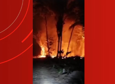 Fogo se espalha por áreas rurais e urbanas de Boa Vista do Ramos; moradora relata sofrimento de animais