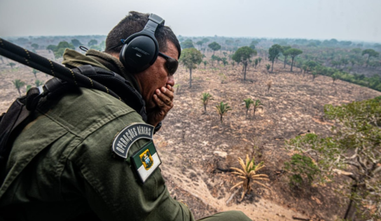 Ibama notifica 725 propriedades rurais para evitar avanço de queimadas no Amazonas