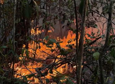 Incêndios florestais avançam há mais de duas semanas em Itacoatiara, destroem plantações e ameaçam casas