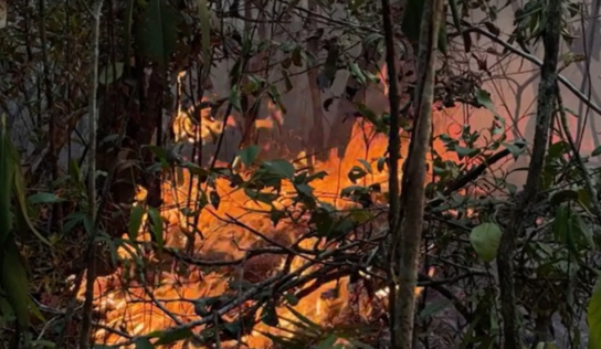 Incêndios florestais avançam há mais de duas semanas em Itacoatiara, destroem plantações e ameaçam casas