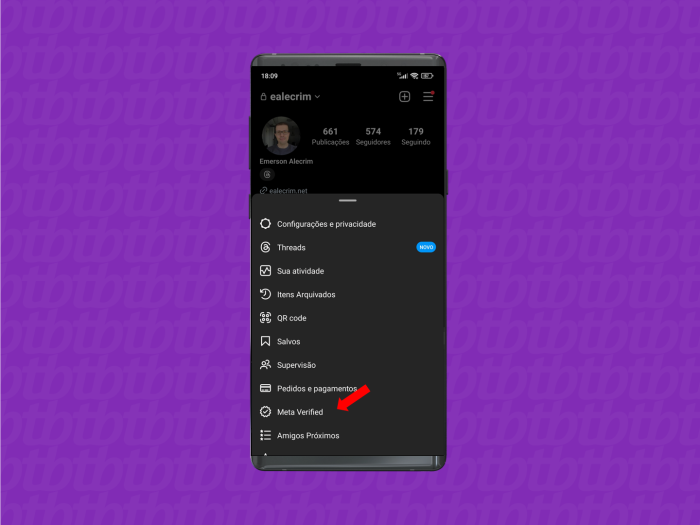 Selecione a opção "Meta Verified" (imagem: Emerson Alecrim/Tecnoblog)