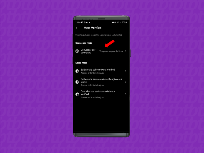 Selecione "Conversar por bate-papo" para falar com o Instagram (imagem: Emerson Alecrim/Tecnoblog)