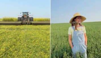Aos 54 anos, atriz usa fazenda da família para gerar fortuna com investimento na agricultura