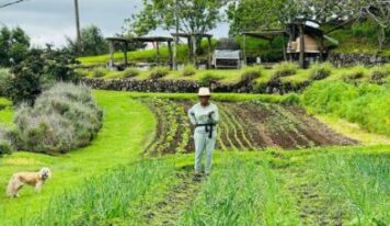 Com fortuna de R$ 18 bilhões, apresentadora transforma refúgio no campo em fazenda sustentável