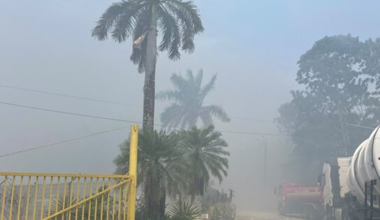 Fumaça de incêndio em área com lixão de Manaus pode causar tontura e dor de cabeça; químico orienta quando procurar atendimento