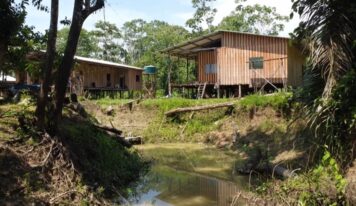 ‘Terras caídas’ ameaçam casas e obrigam ribeirinhos a mudar de endereço durante estiagem no AM