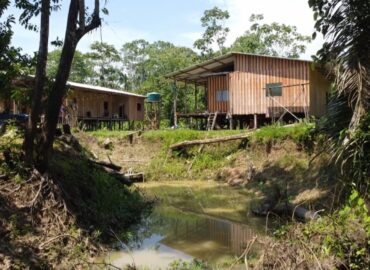 ‘Terras caídas’ ameaçam casas e obrigam ribeirinhos a mudar de endereço durante estiagem no AM