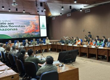 Ministro do Meio Ambiente ameniza divergência com governo do AM por ajuda no combate às queimadas e defende integração