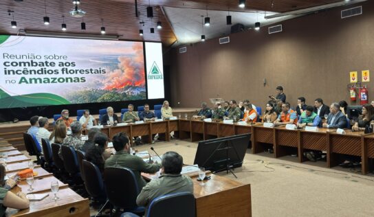 Ministro do Meio Ambiente ameniza divergência com governo do AM por ajuda no combate às queimadas e defende integração