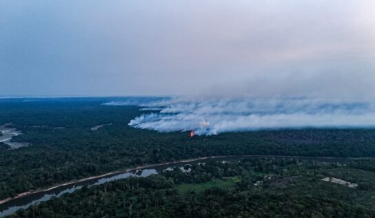 Incêndios colocam mais da metade das cidades do Amazonas em emergência; fumaça suspende aulas