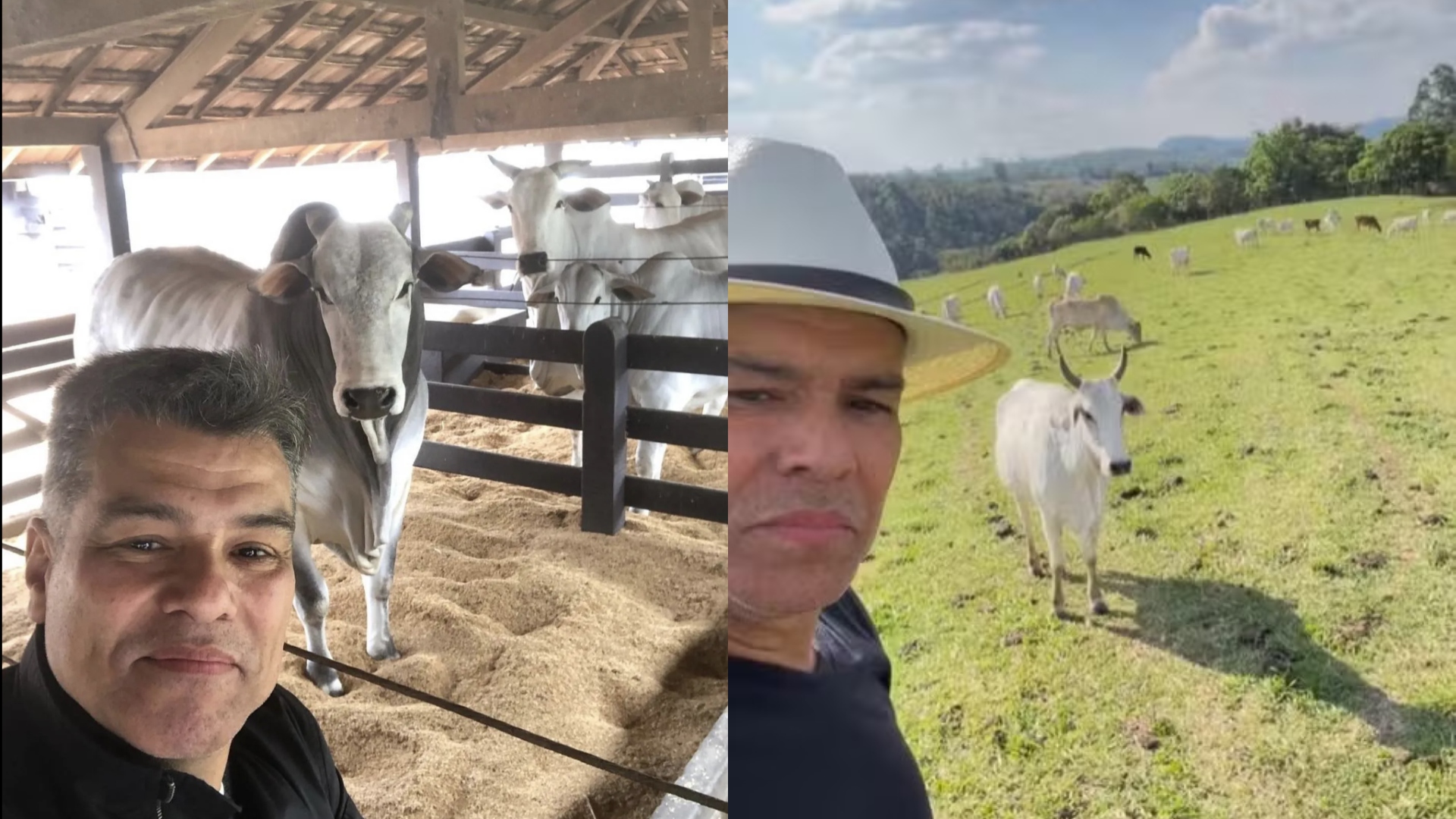 Maurício Mattar fazenda 