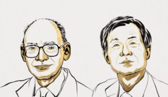 Dupla de cientistas ganha o Nobel de Química por desvendar segredo das moléculas da vida