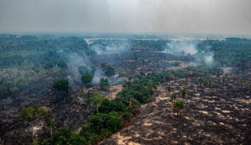 8 em cada 10 focos de fogo no Amazonas estão em imóveis rurais privados; queimadas disparam após o 1º turno