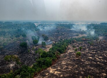 8 em cada 10 focos de fogo no Amazonas estão em imóveis rurais privados; queimadas disparam após o 1º turno